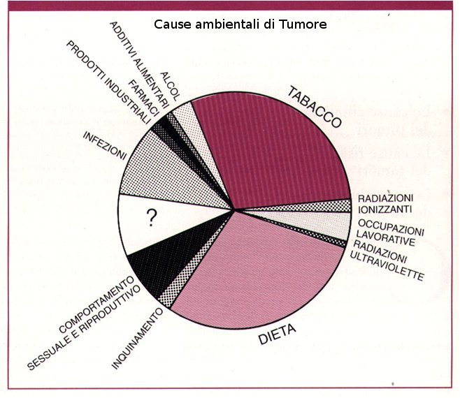 Le cause ambientali di un possibile sviluppo tumorale