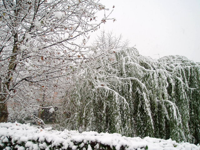 La nevicata del 26 Novembre 2005