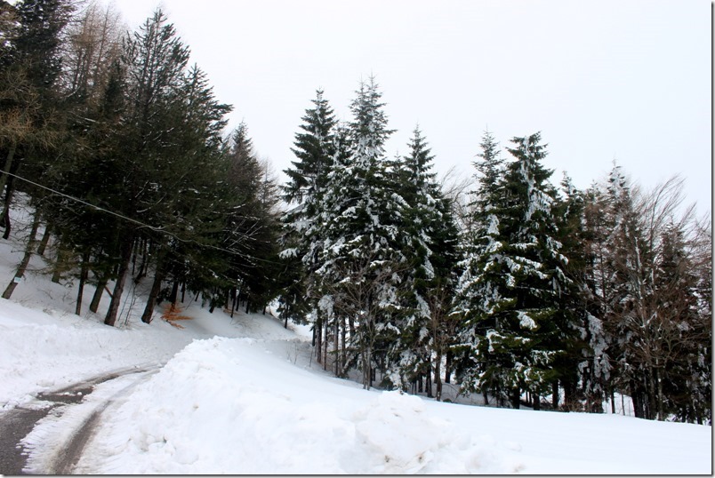 La strada per salire, con il guard rail di neve