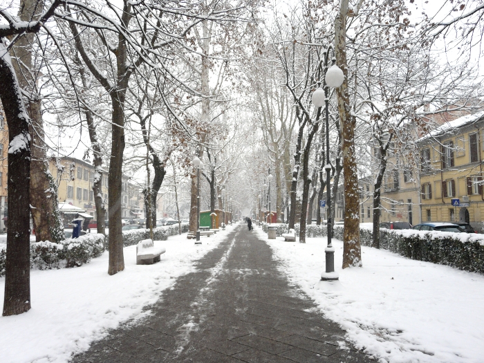 La nevicata siberiana del 1 Febbraio 2012