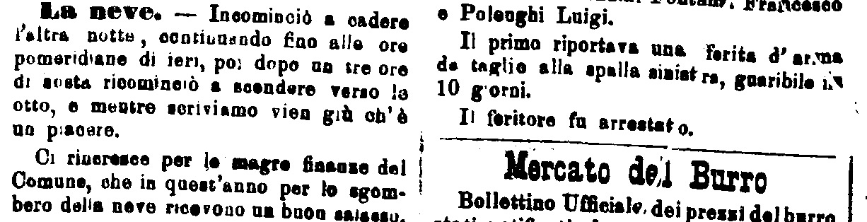 L'articolo de "La Provincia Pavese" del 13 Gennaio 1883